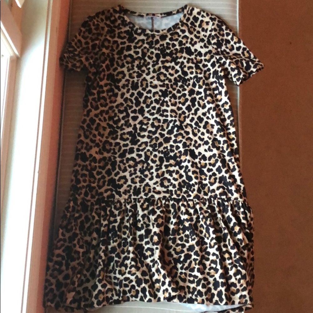 Zara Cheetah Print Shift Dress
